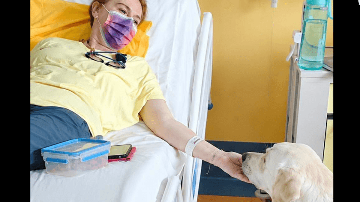 Chemioterapia con il cane: in Veneto nasce il progetto che mette al centro il legame tra paziente e animale