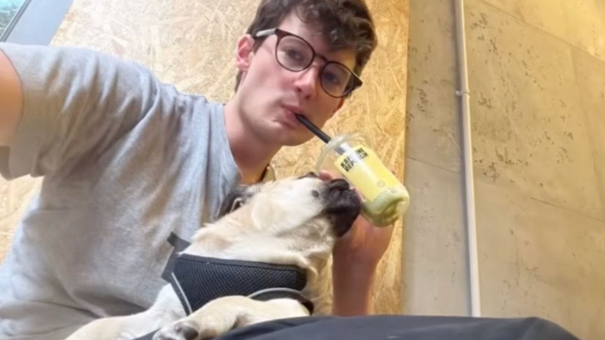 Parte per l'estero con il suo cucciolo: rimangono bloccati al Cairo per un motivo incredibile