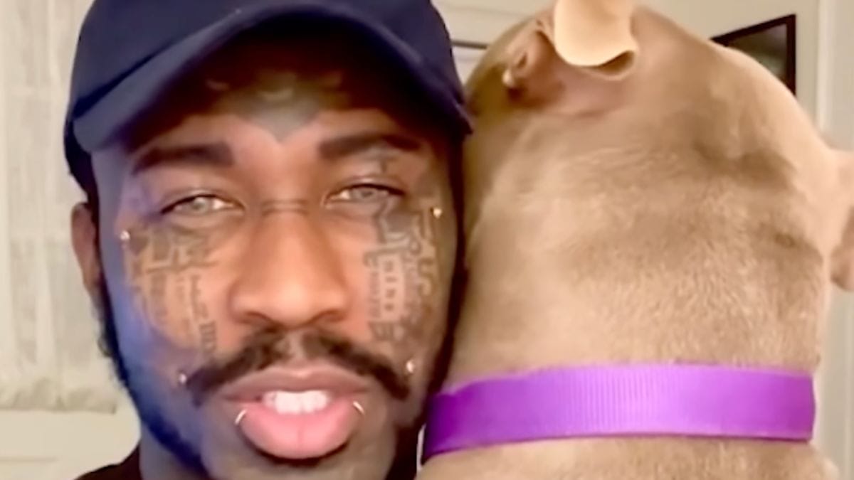 Cagnolina abbandonata salvata da un uomo: la sua reazione per ringraziarlo ti scioglierà il cuore