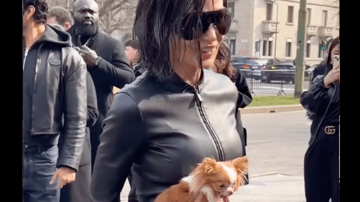 Fashion Week: cani “da borsetta” e celebrità! Perché i mini-dog stanno conquistando le grandi città?