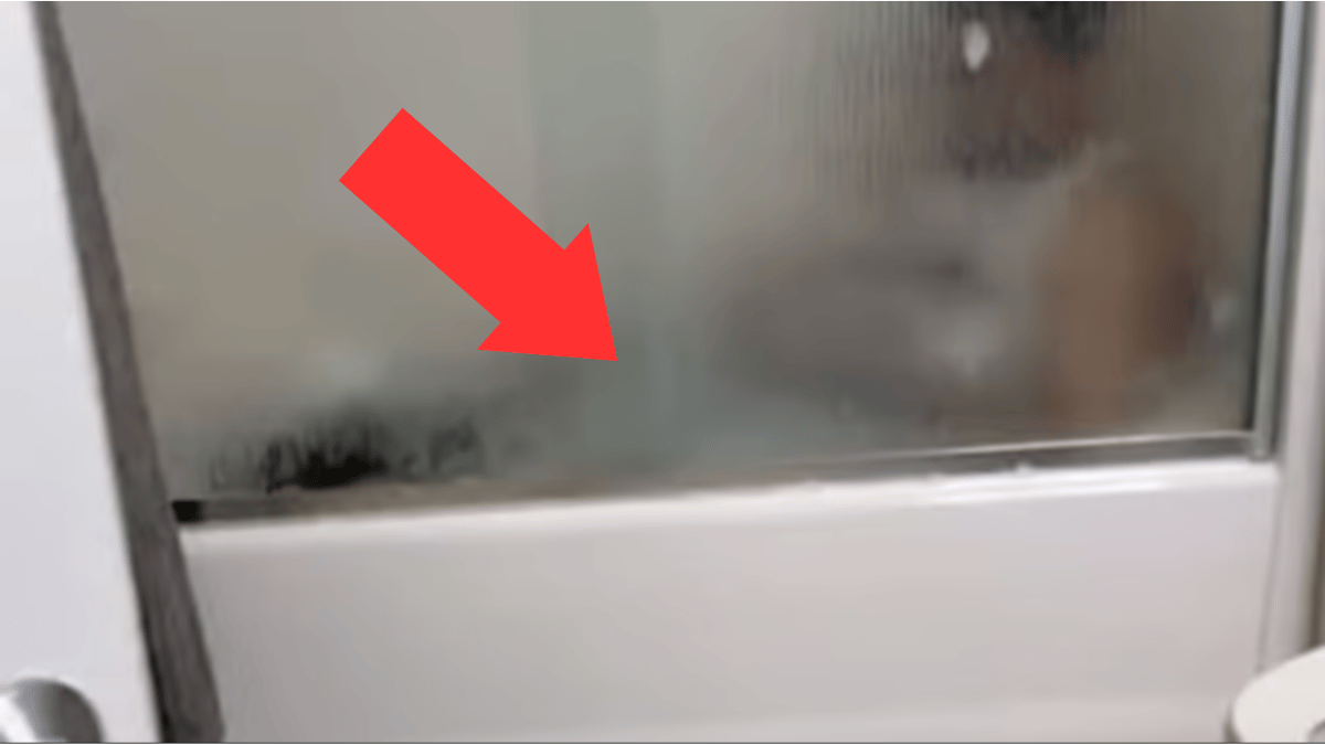 Una donna sorprende il compagno nella vasca da bagno: 120 milioni di persone lo hanno visto!