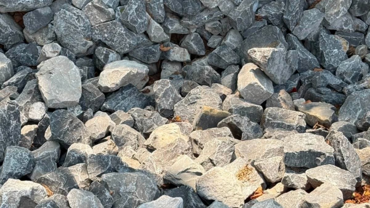 Intrappolato sotto le rocce, questo minuscolo gattino deve la vita all'astuzia dei suoi soccorritori