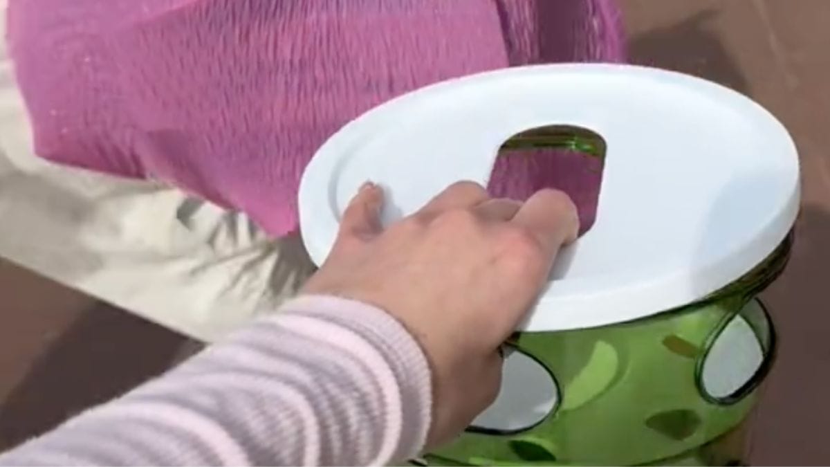 Va al rifugio per una donazione e torna a casa con un bagaglio inaspettato