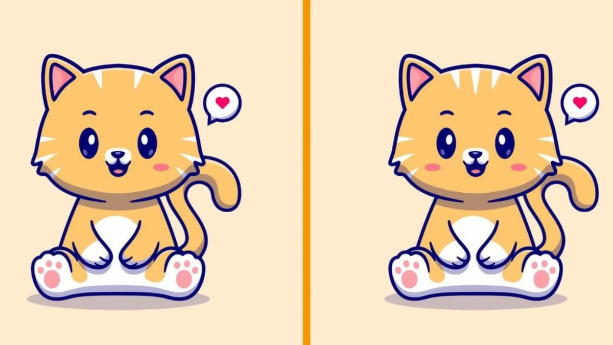Riesci a vedere le 3 differenze tra questi due gatti in meno di 8 secondi?