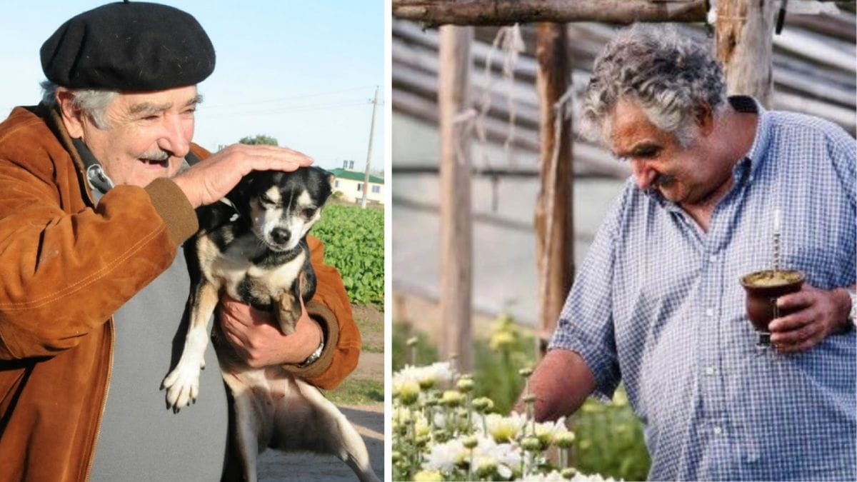 L'Ultimo desiderio di José "Pepe" Mujica: essere sepolto con la sua amata Manuela