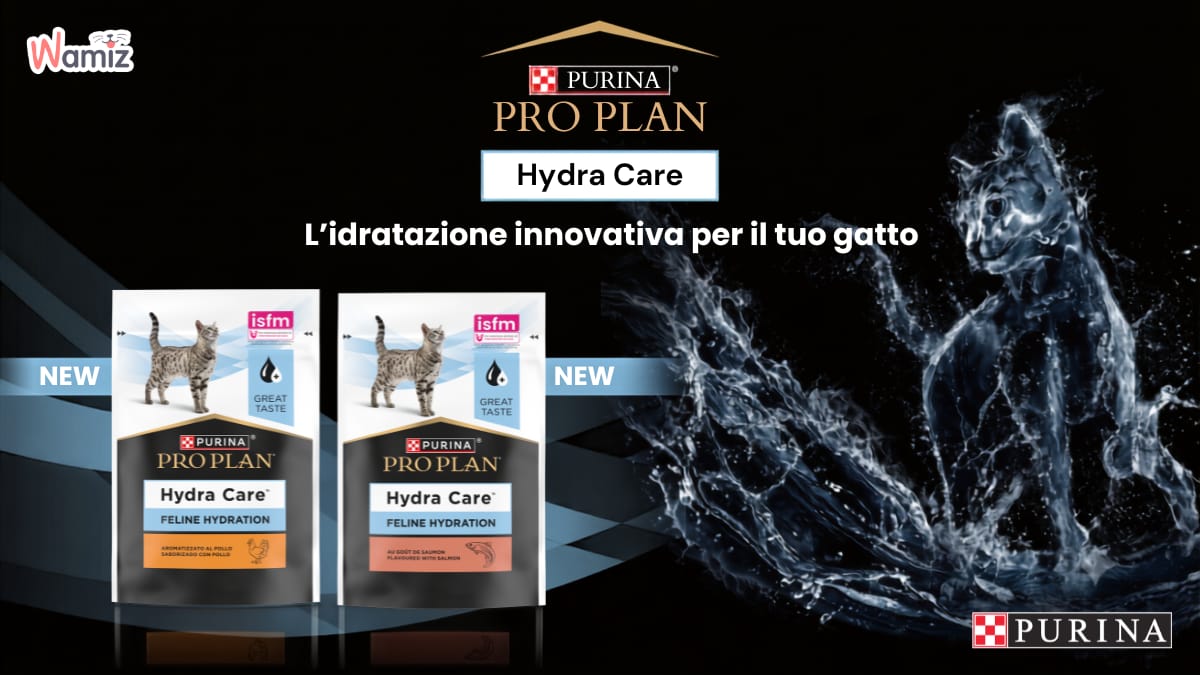 Il tuo gatto beve poco? Vuoi diventare tester e fargli provare l'idratazione innovativa di PURINA® PRO PLAN® Hydra Care™?