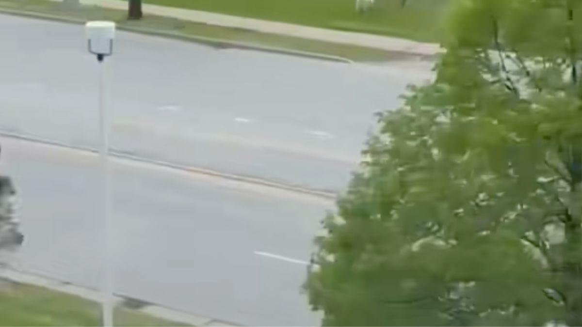 Una donna incinta guarda dalla finestra dell'ospedale e scoppia a ridere vedendo il piccolo curioso nel parco