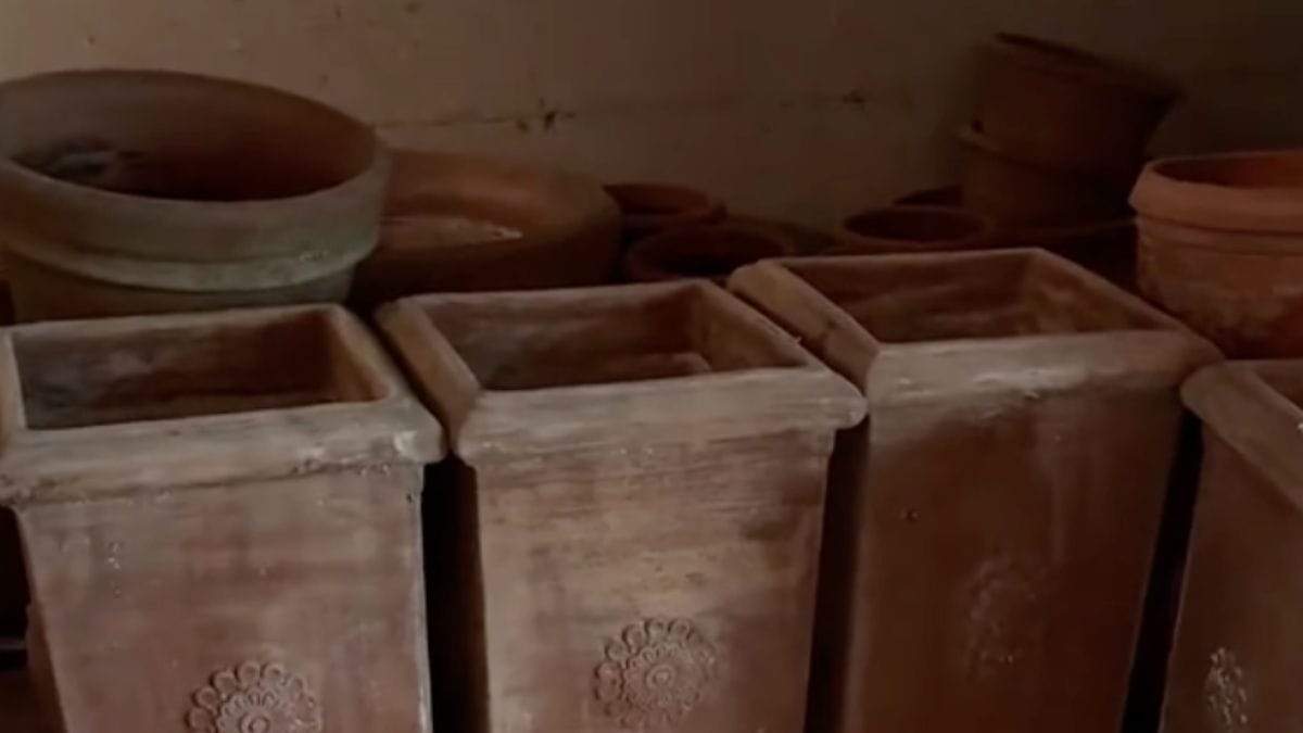Compra la fattoria dei suoi sogni in Italia: ma i veri proprietari erano già lì