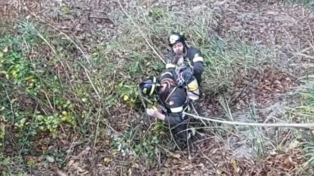Tre giorni di disperazione: i soccorritori non credono ai loro occhi durante il salvataggio in montagna