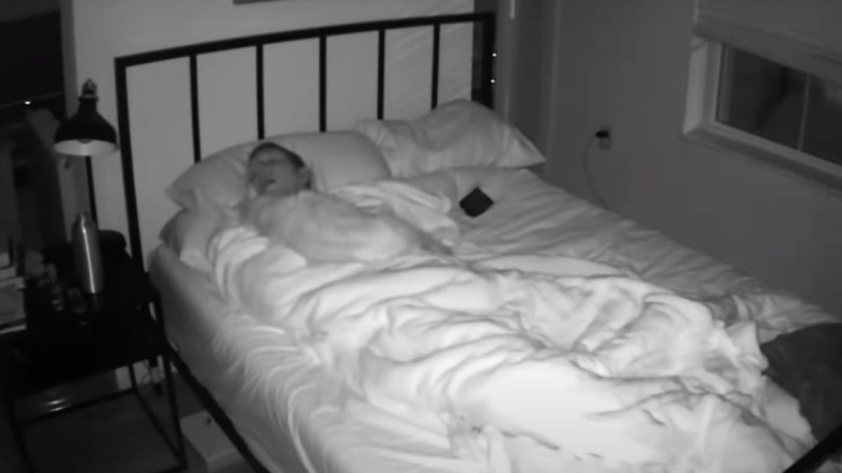 La telecamera rivela tutto: ecco cosa faceva di notte il gatto appena adottato