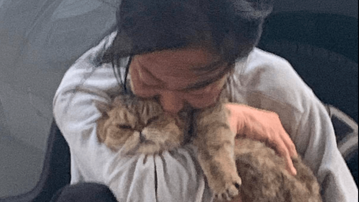 Video. In viaggio dal Trentino a Roma per salvare Philip: 30 giorni col fiato sospeso