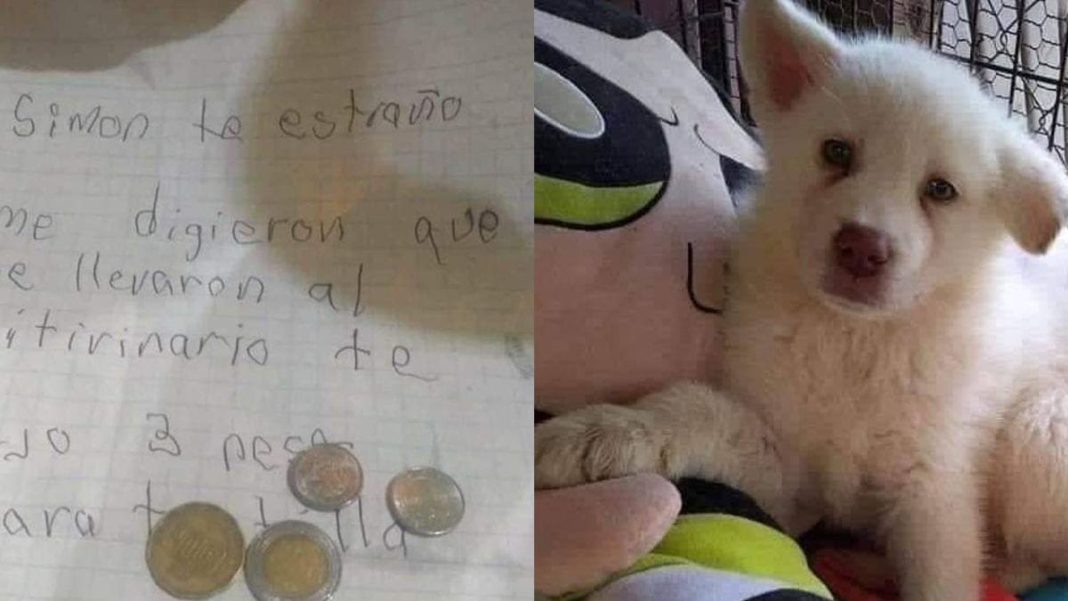 «Ti lascio Simon, non voglio che mio papà lo picchi»: la lettera che ha sconvolto il mondo