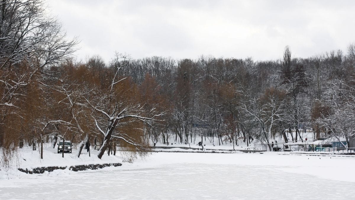 Nel gelo polare, i soccorritori seguono le impronte e scoprono una coppia in difficoltà
