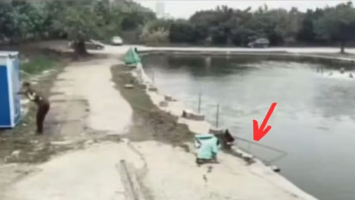 Video. Il pescatore deve allontanarsi, il suo cane si occupa di pescare