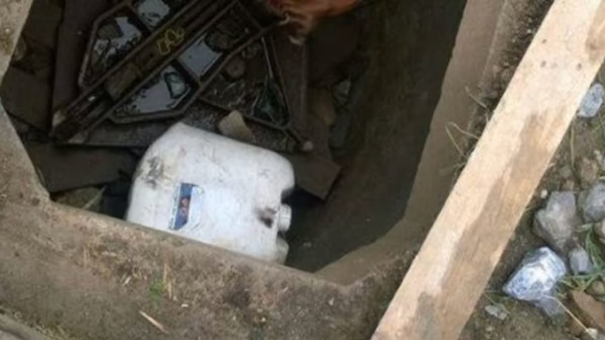 Bambina gioca da sola in giardino: quando guarda in un fosso, il suo cuore quasi si ferma