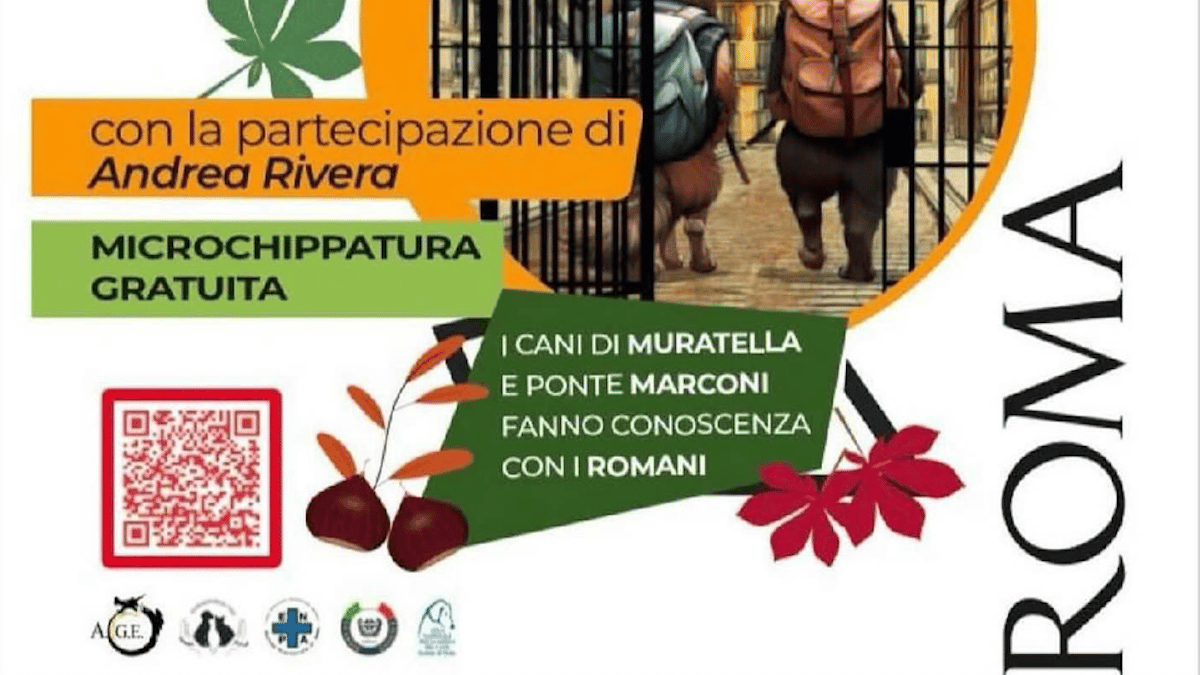 A Roma torna “Il Canile va in città”: i cani dei rifugi comunali pronti a incontrare i romani. Tutte le info!