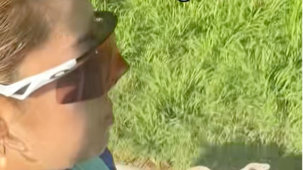 Durante il suo jogging mattutino, una nuvoletta di pelo bianco le corre incontro: la sua vita cambierà per sempre