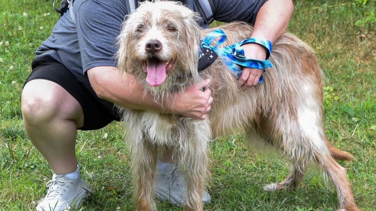 Dopo 7 anni e 7 mesi in canile, il pensionante più anziano trova finalmente la famiglia che aspettava
