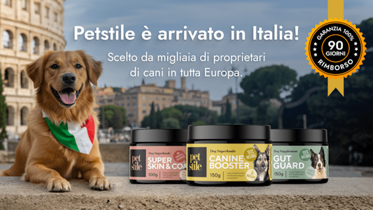 Petstile arriva in Italia: soluzioni innovative per la salute del tuo cane!