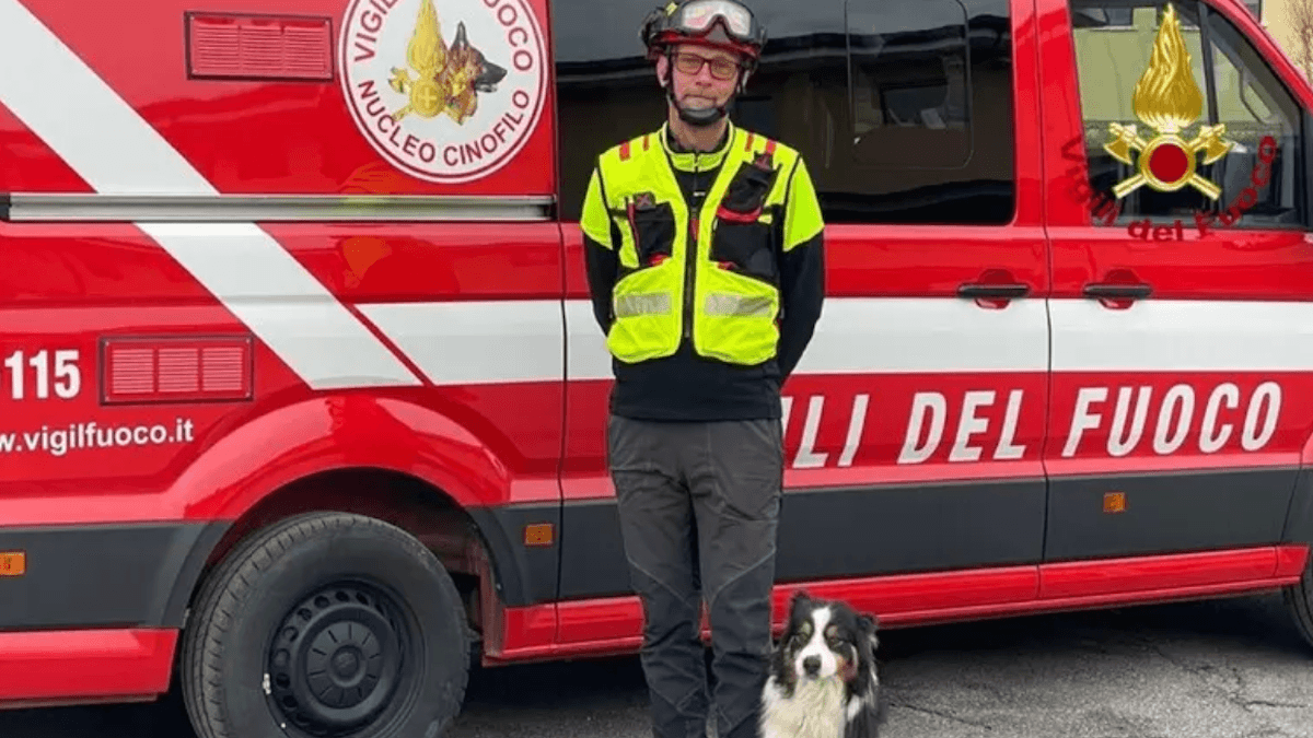 Il cane eroe del Ponte Morandi va in pensione: dopo anni di salvataggi inizia una nuova vita