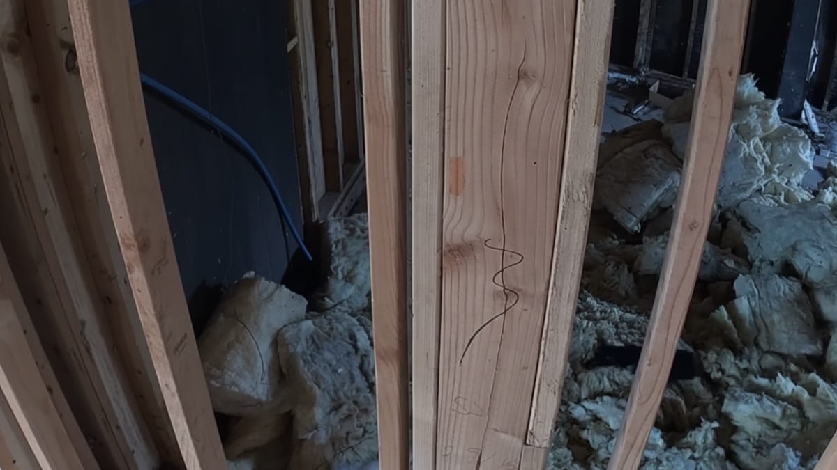 Installano telecamere nella nuova casa diroccata e scoprono due inquilini inaspettati