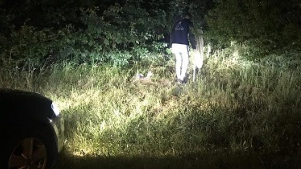 Orrore in un parcheggio dell'autostrada: "È triste che tali mostri siano tra di noi!"