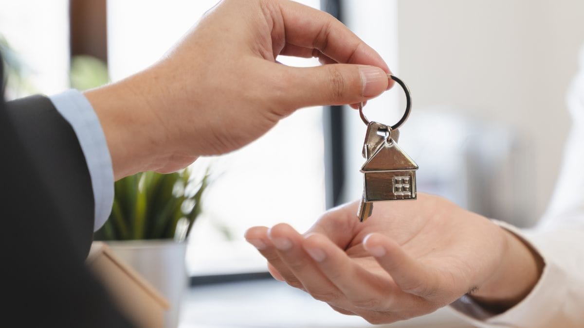 Un agente immobiliare visita un appartamento e trova piccoli ospiti inattesi tra i cartoni
