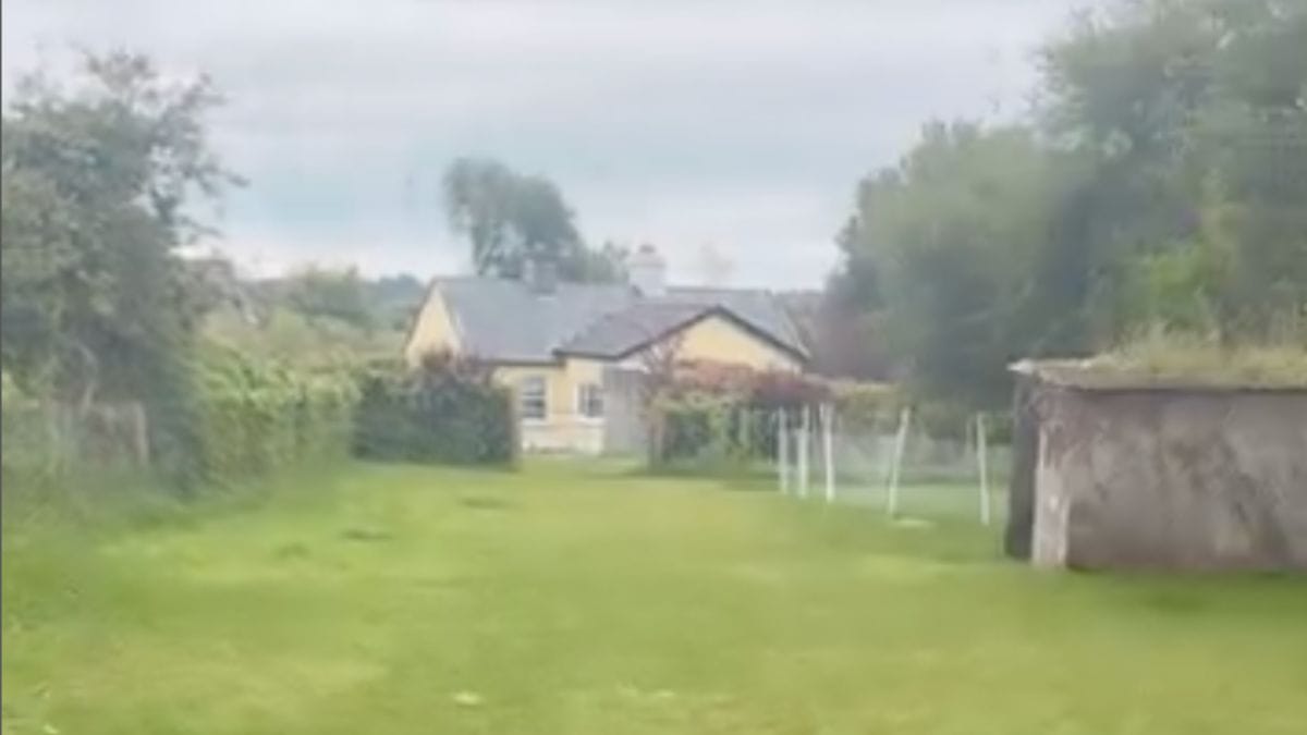 Video. Compra una casa con un giardino enorme per il suo cane: questa «buona idea» fa ridere 590mila persone