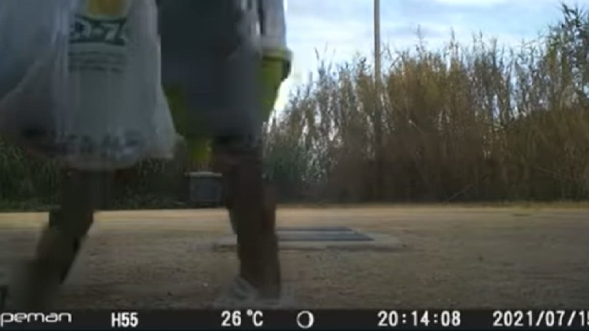 Video. La telecamera di sorveglianza mostra cosa ha fatto esattamente il vicino alle 20:14
