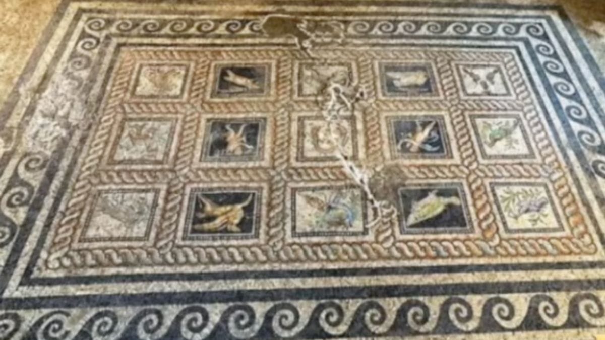 Un mosaico di duemila anni fa svela il segreto di due animali: gli archeologi decifrano il mistero