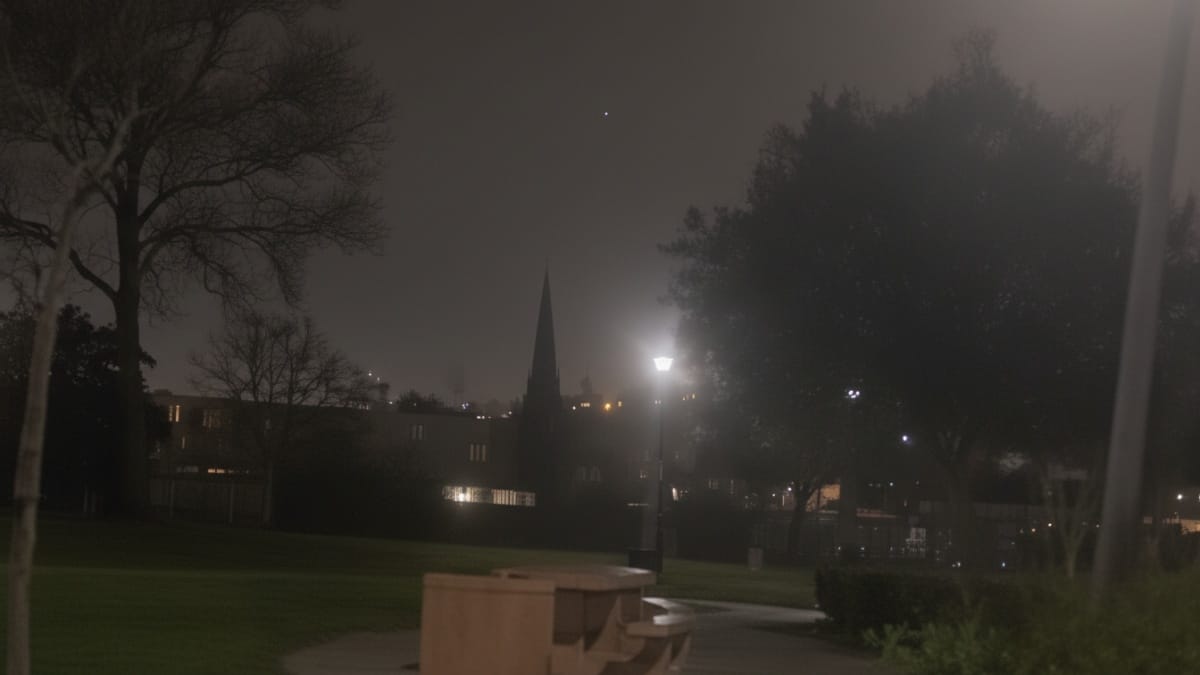 Un soccorritore scorge occhi lucenti in un parco immerso nel buio: due piccole anime hanno bisogno di aiuto