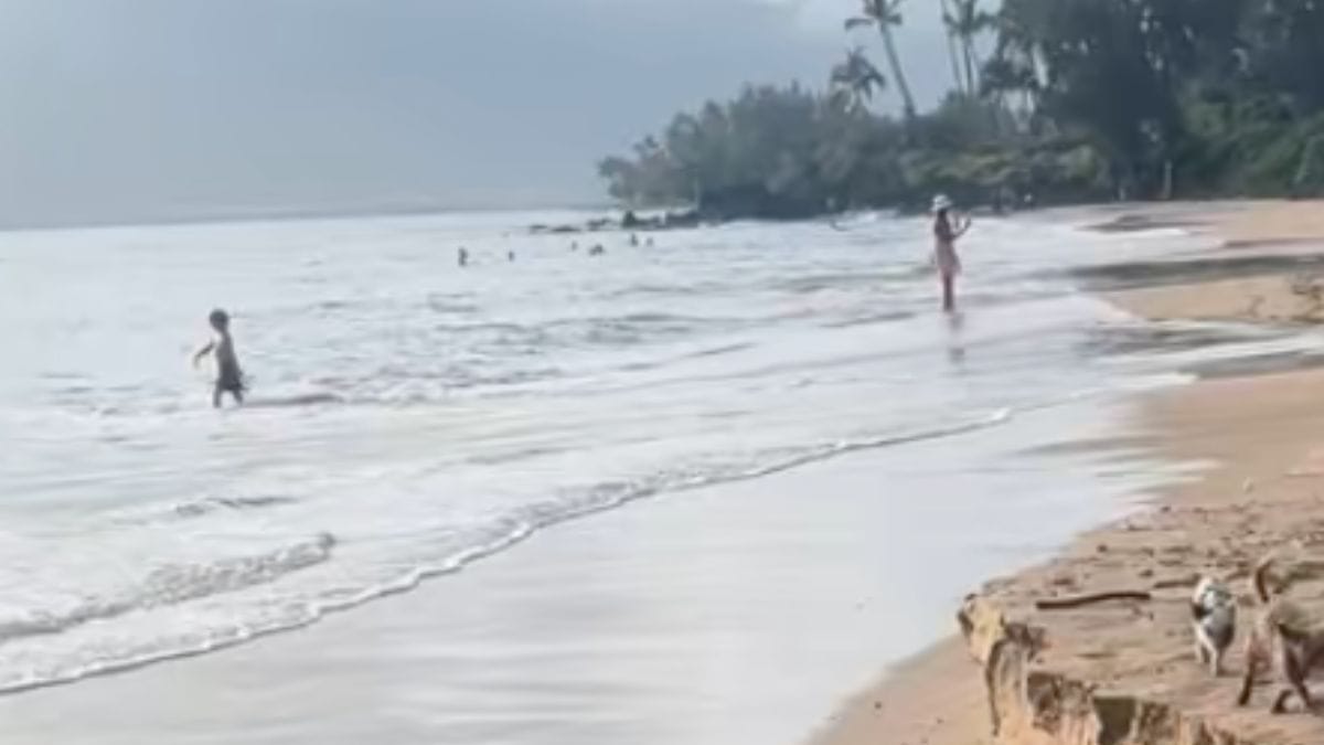 Pomeriggio al mare: 3,3 milioni di persone si voltano al passaggio delle due star della spiaggia