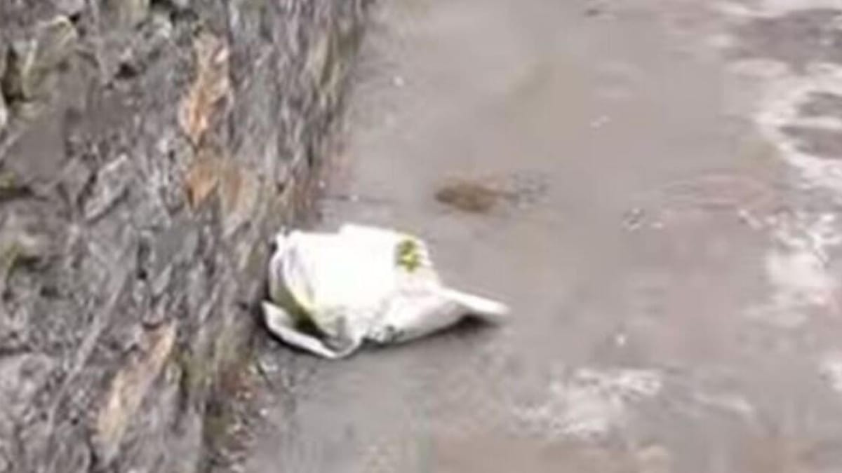 Video. Le persone passano oltre un sacchetto, finché qualcuno si ferma e fa una scoperta scioccante