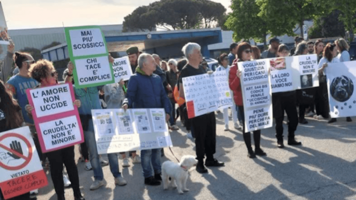 Orrore a Scossicci: 55 cani uccisi e gettati in un fosso, centinaia di persone scendono in piazza