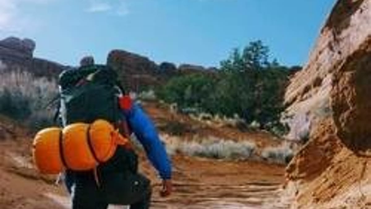 Il suo Labradoodle sta morendo, decide di fagli un ultimo speciale regalo