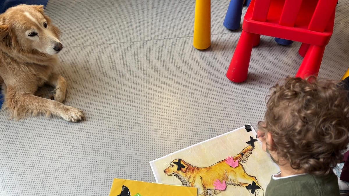 Purina e Frida’s Friends portano la pet therapy nel reparto di neurologia pediatrica del Fatebenefratelli di Milano