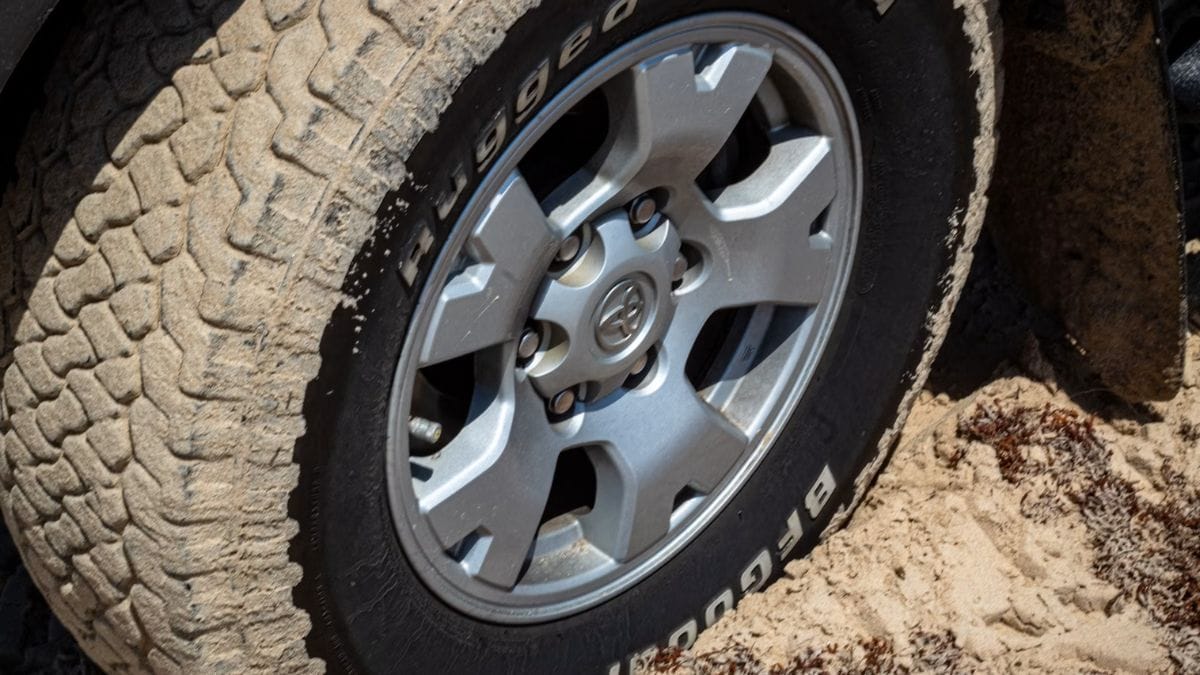 Una passante nota dei "rifiuti" vicino alla ruota di un camion: il suo istinto salva una vita innocente