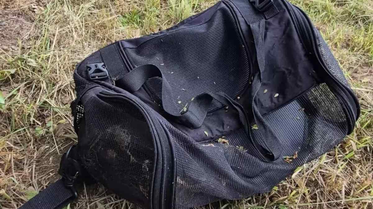 Ciclista trova una borsa da viaggio nel cespuglio: il contenuto la tormenterà per sempre!