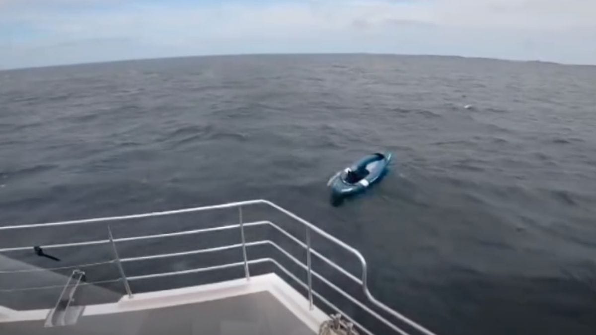 Un cane viene trascinato in mare: due ore dopo, i marinai fanno una scoperta inaspettata in un kayak
