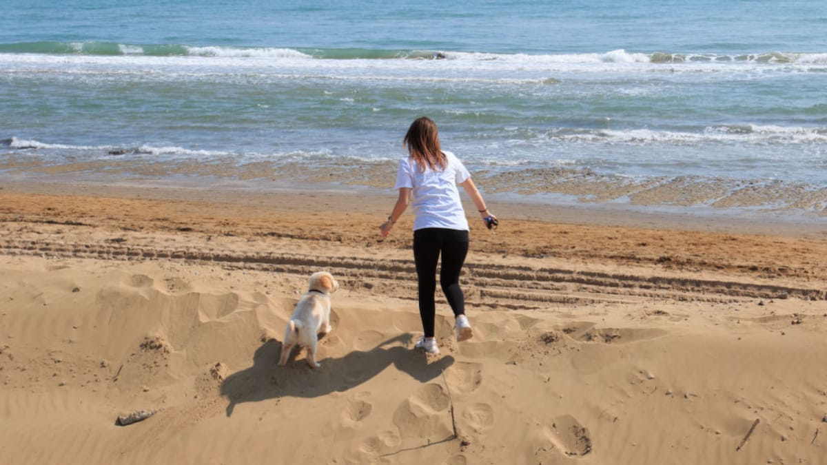 Quali sono le spiagge per cani in Veneto?