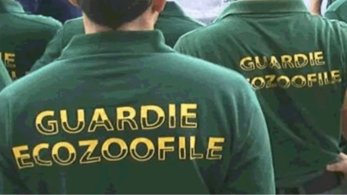 Petizione per salvare le Guardie zoofile: migliaia di firme contro l’emendamento che vuole eliminarle