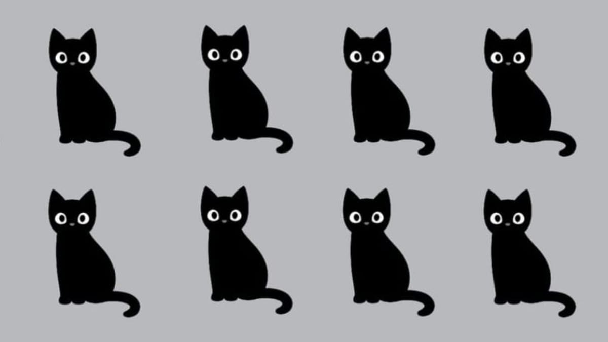Gioca con Micio: riesci a trovare il gatto diverso dagli altri in meno di 15 secondi?