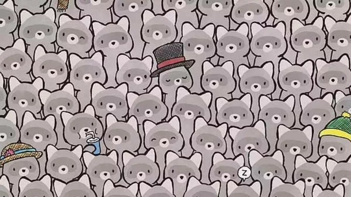 Gioca con Micio: se trovi il gatto in meno di 15 secondi sei un genio!