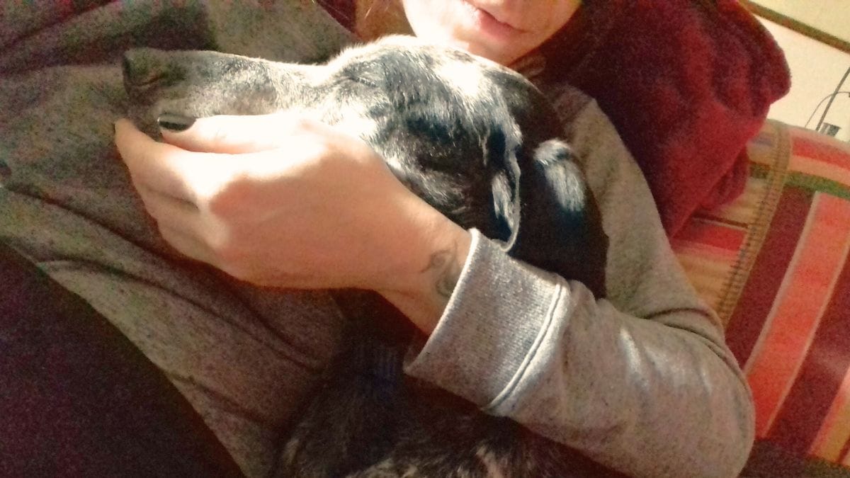 «Che fortuna averti trovato». Il racconto del legame indissolubile tra Terry e Pongo