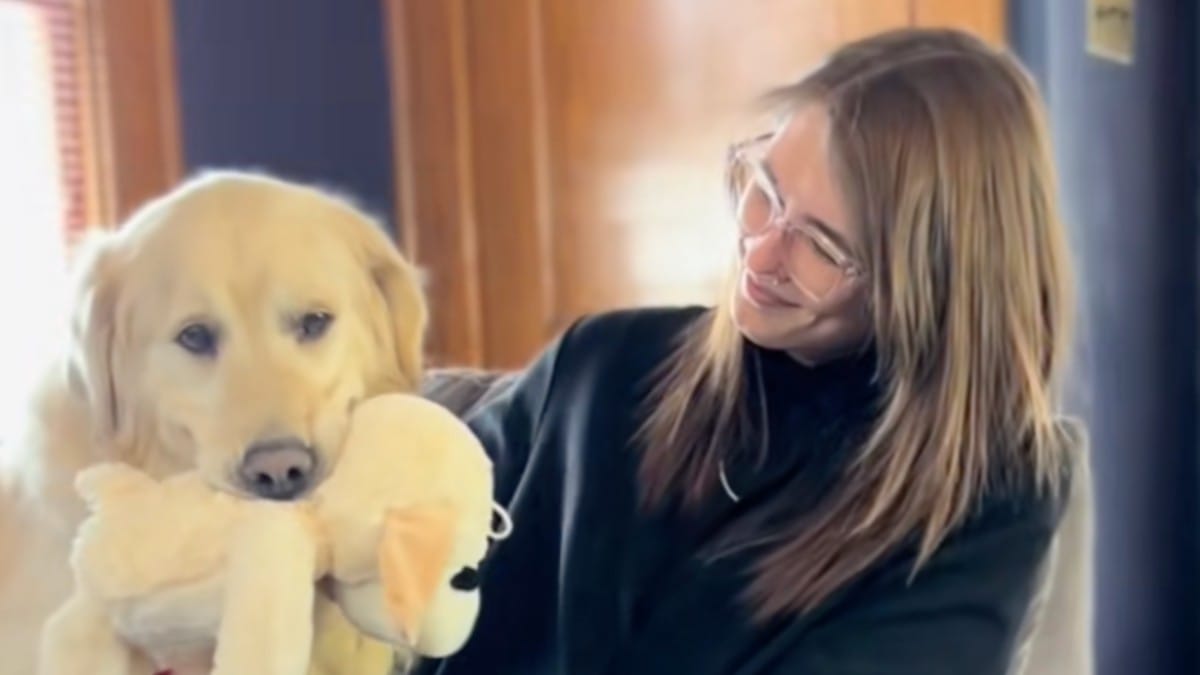 Una coppia adotta un Golden Retriever e ha un messaggio per chi lo ha maltrattato per 9 anni