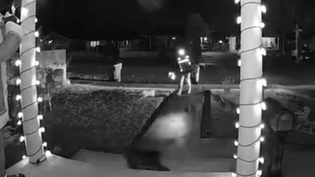 Video. Consegna un pacco durante le feste: non si aspettava tanto entusiasmo!