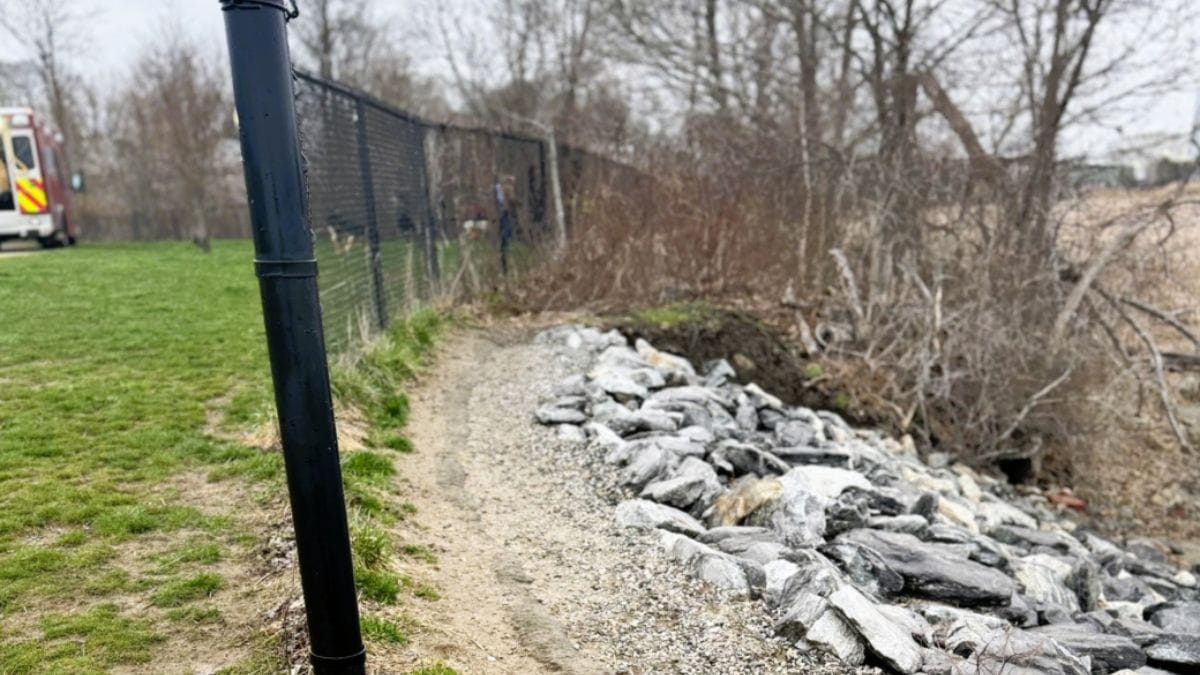 Porta il cane al parco senza accorgersi del pericolo: intervengono i vigili del fuoco
