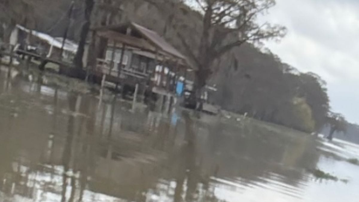 Due occhi lo fissano in mezzo alla palude: il sangue gli si gela nelle vene di fronte all'emergenza