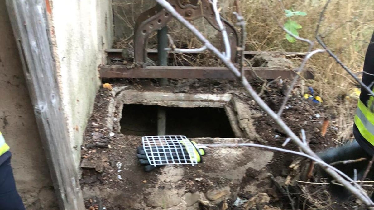 Dramma durante un barbecue: urla risuonano dal fondo di un pozzo