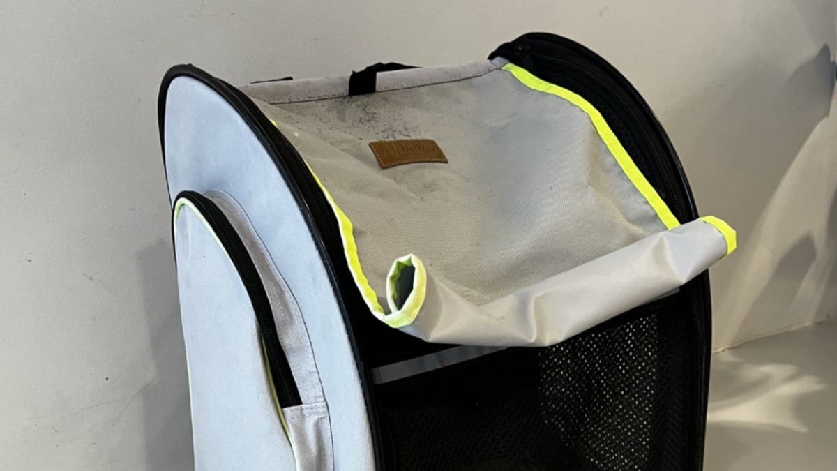 I dipendenti del rifugio trovano uno zaino abbandonato: aprendolo, esplode la loro rabbia